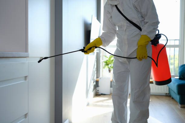 Mold Documentation for Insurance Claims in Keuka Park, NY