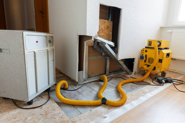 Best Forensic Mold Investigation  in Keuka Park, NY